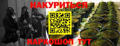 spice Партизанск